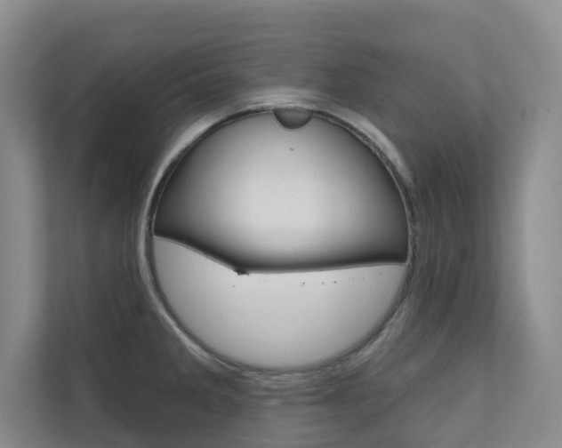 X0000110701285200906121028