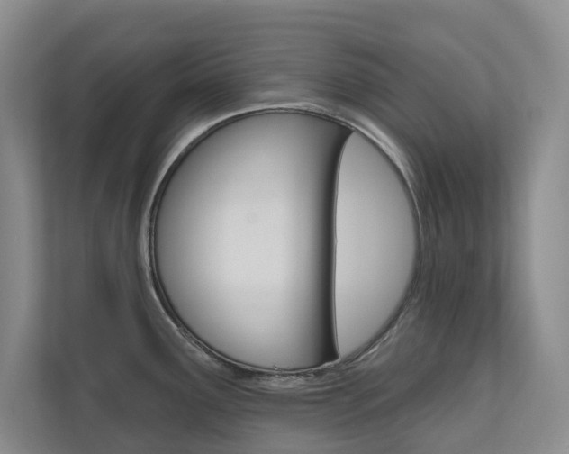 X0000110701291200906121028