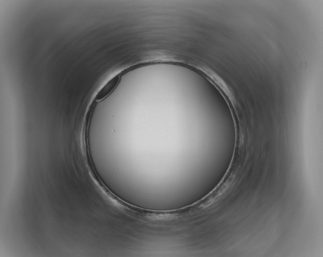 X0000110701293200906121028