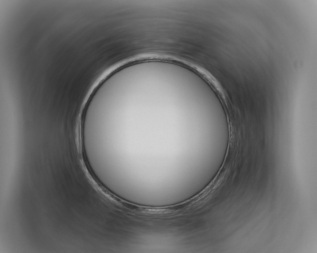 X0000110701295200906121028