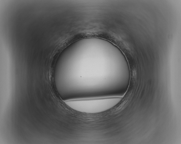 X0000110701300200906121028