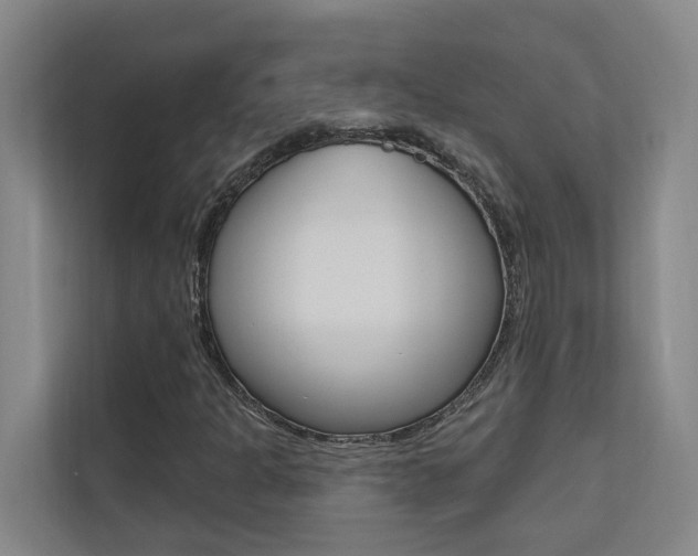 X0000110701301200906121028