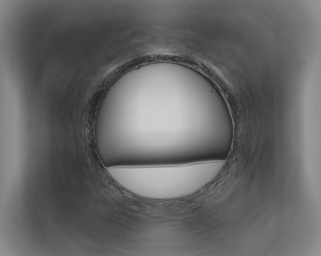 X0000110701303200906121028
