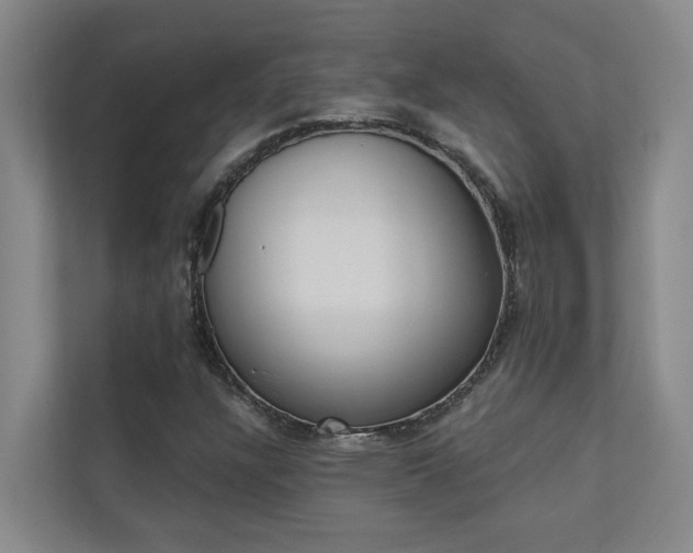 X0000110701304200906121028