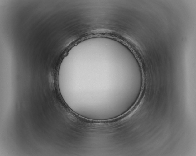 X0000110701305200906121028