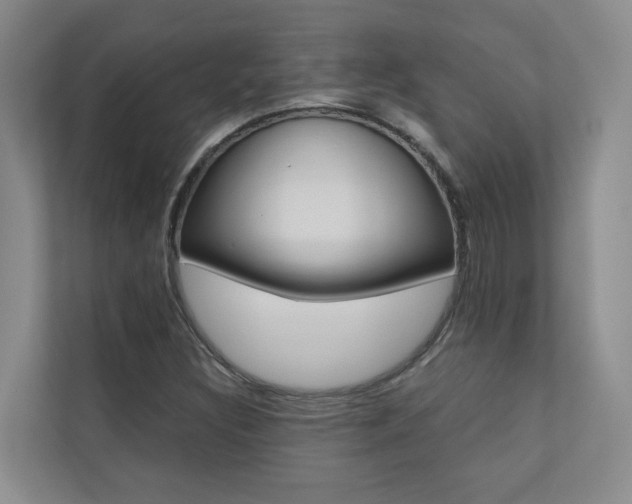 X0000110701308200906121028