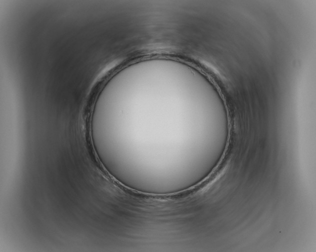 X0000110701309200906121028