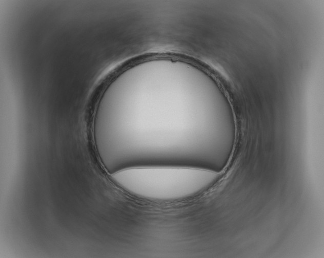 X0000110701311200906121028