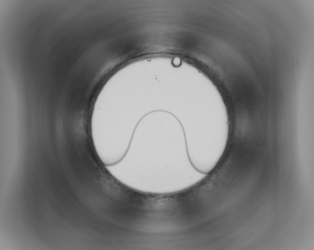 X0000110701314200906121028
