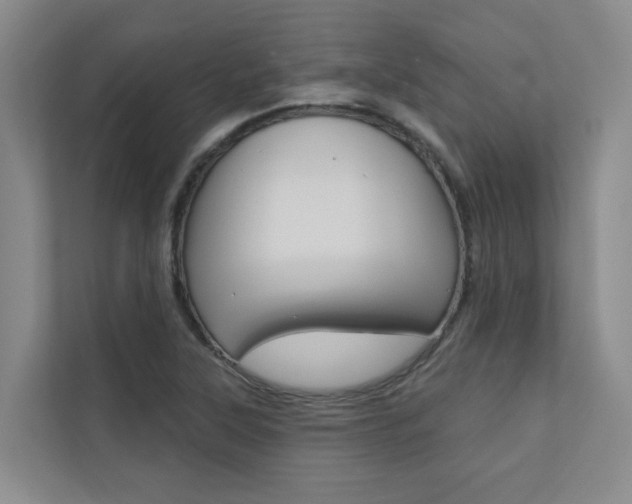 X0000110701315200906121028