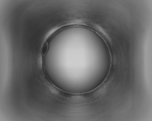 X0000110701320200906121028