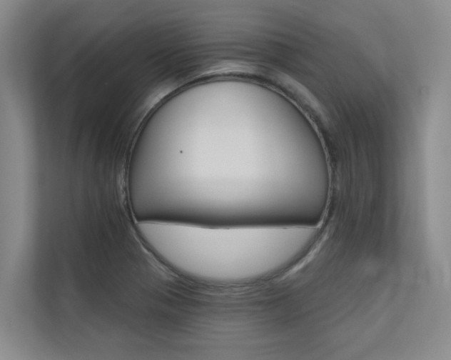 X0000110701321200906121028