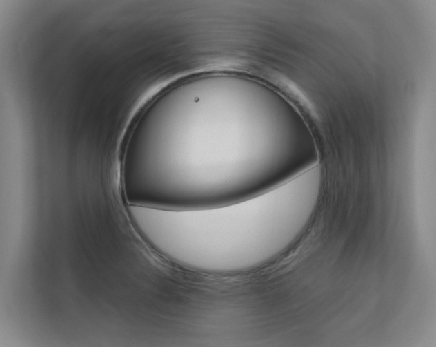 X0000110701324200906121028