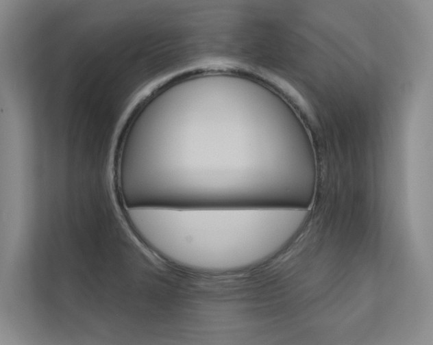 X0000110701327200906121028