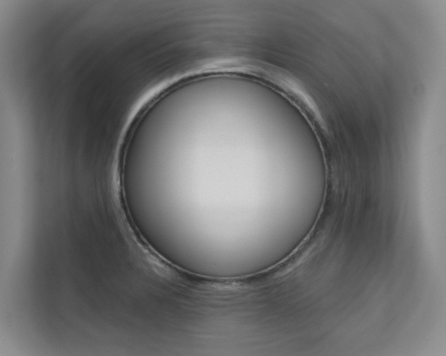 X0000110701328200906121028