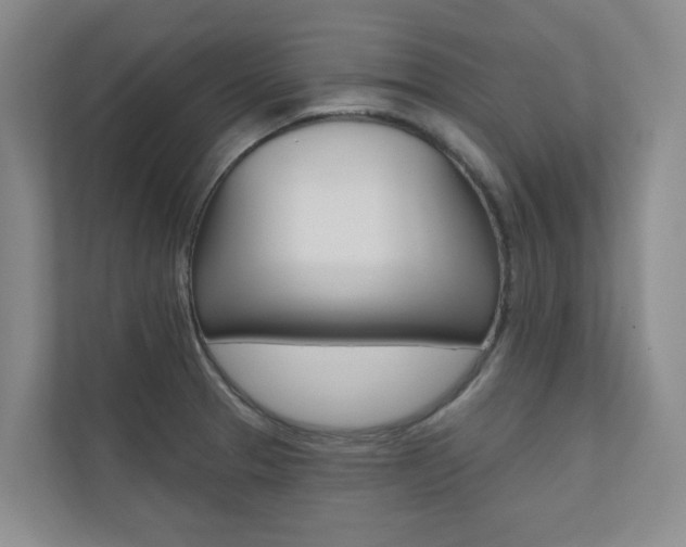 X0000110701329200906121028