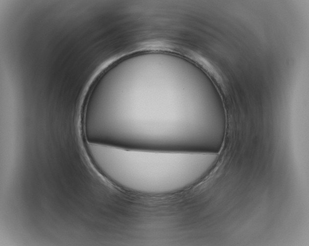 X0000110701331200906121028