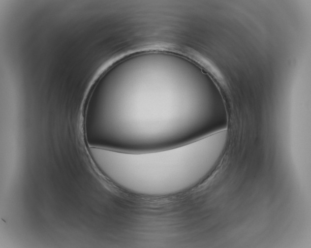 X0000110701332200906121028
