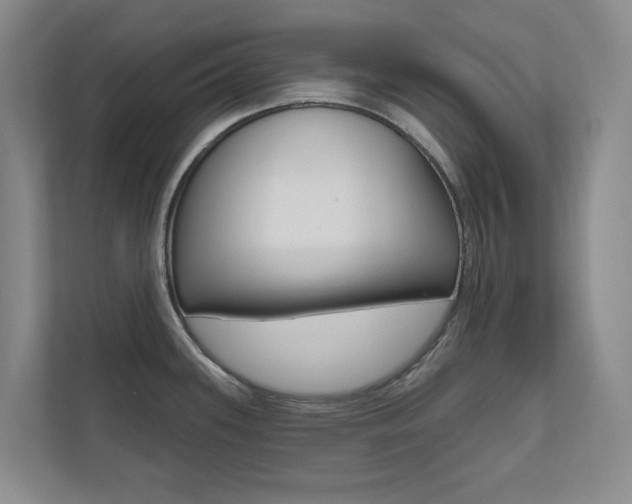 X0000110701339200906121028