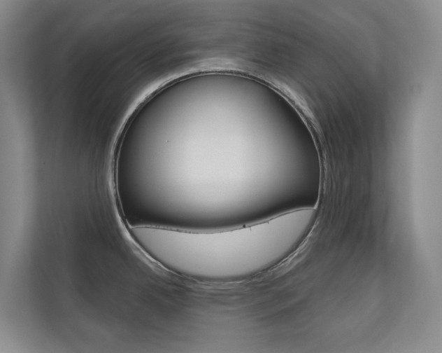 X0000110701342200906121028