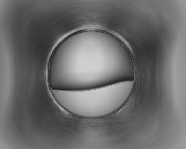 X0000110701343200906121028
