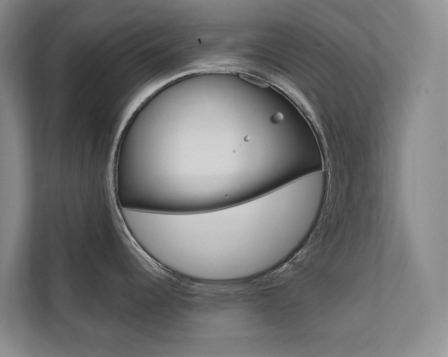 X0000110701344200906121028