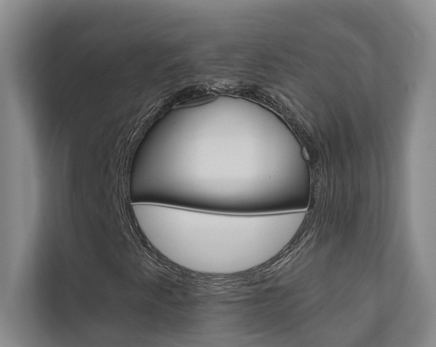 X0000110701345200906121028