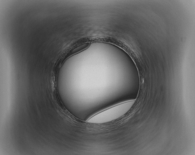 X0000110701348200906121027