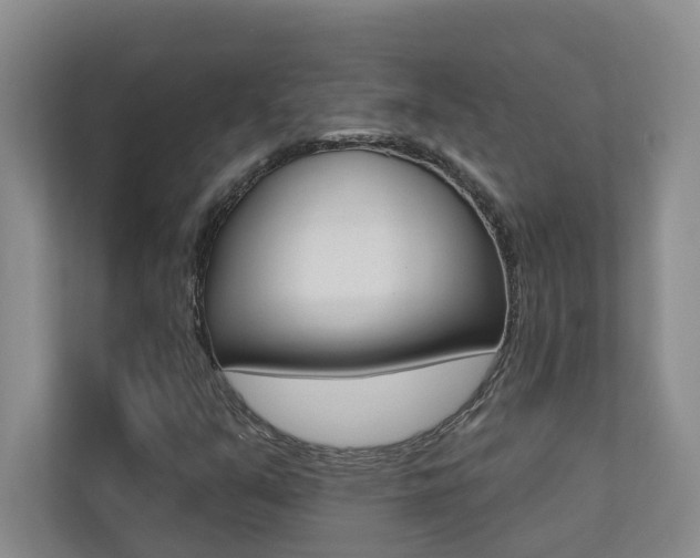 X0000110701351200906121027