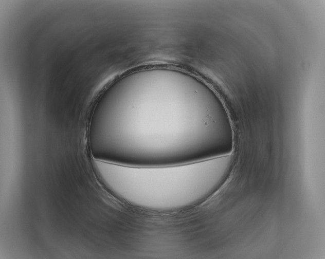 X0000110701355200906121027