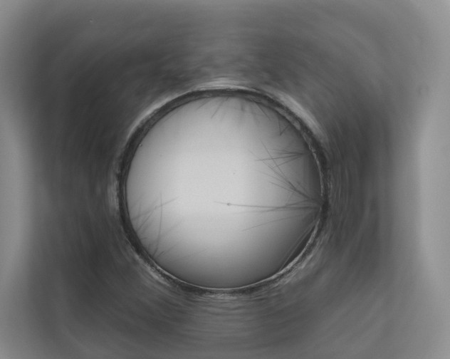 X0000110701356200906121027