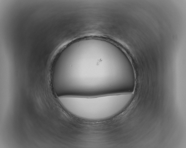 X0000110701359200906121027