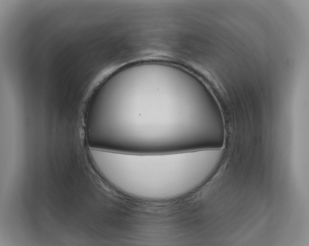 X0000110701363200906121027