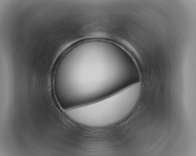 X0000110701364200906121027