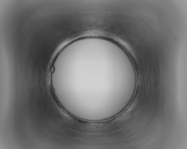 X0000110701366200906121027