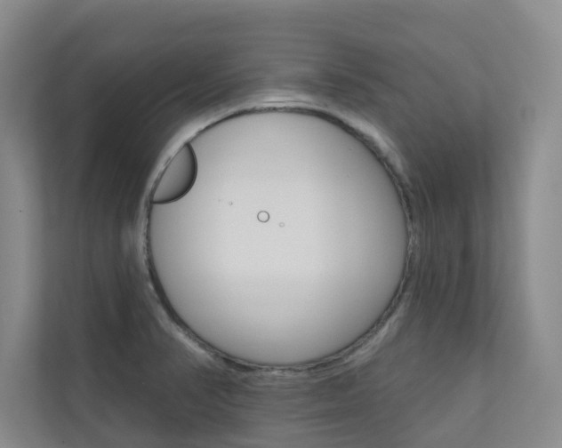 X0000110701374200906121027