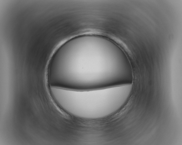 X0000110701375200906121027