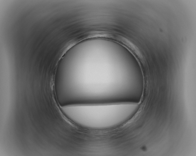 X0000110701377200906121027