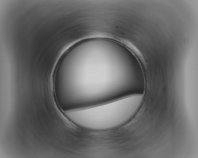 X0000110701380200906121027