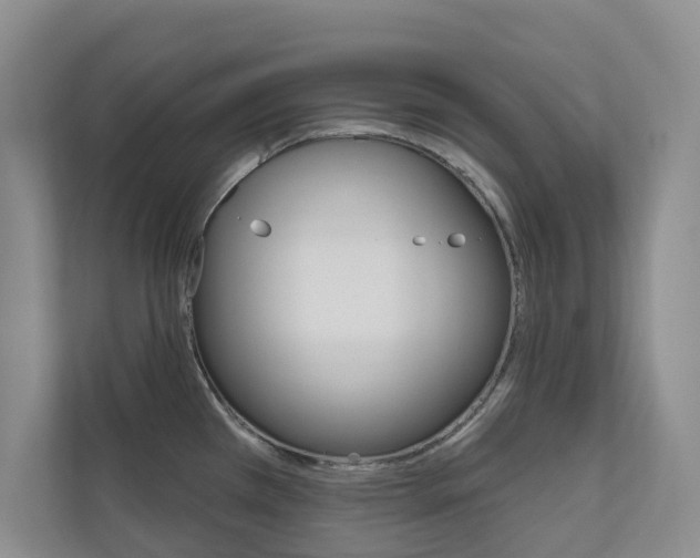 X0000110701385200906121027