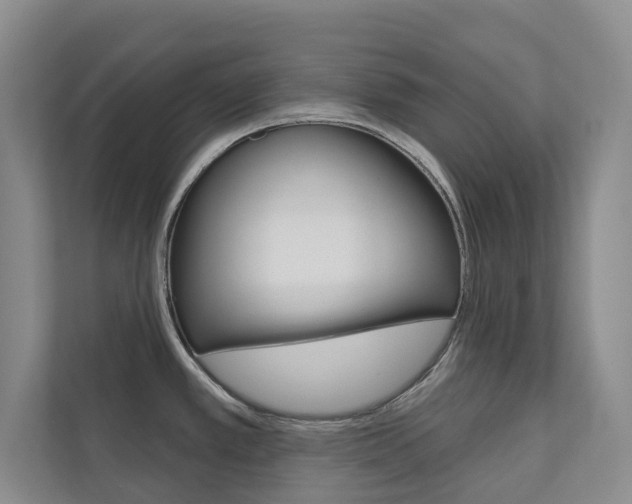 X0000110701389200906121027
