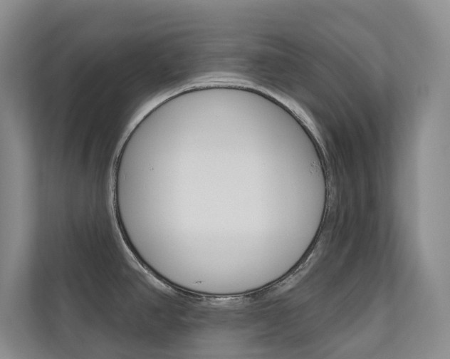 X0000110701390200906121027