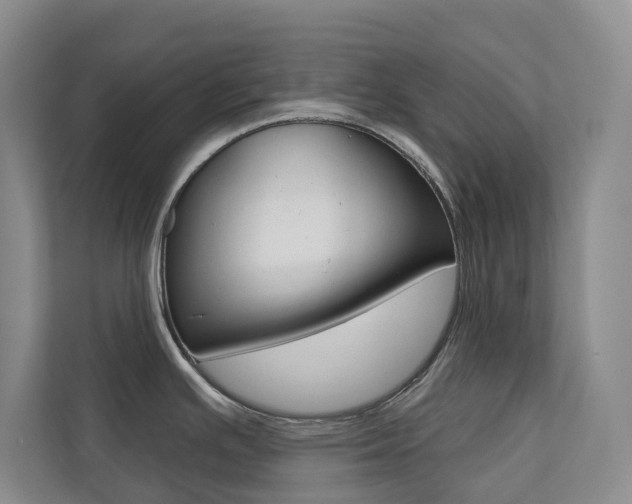 X0000110701391200906121027