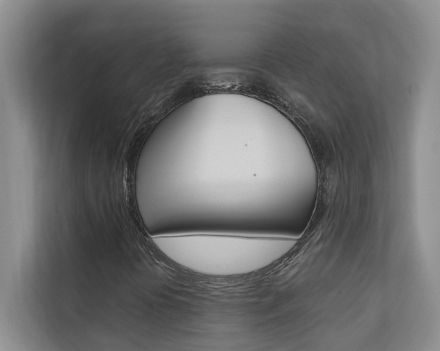 X0000110701394200906121026