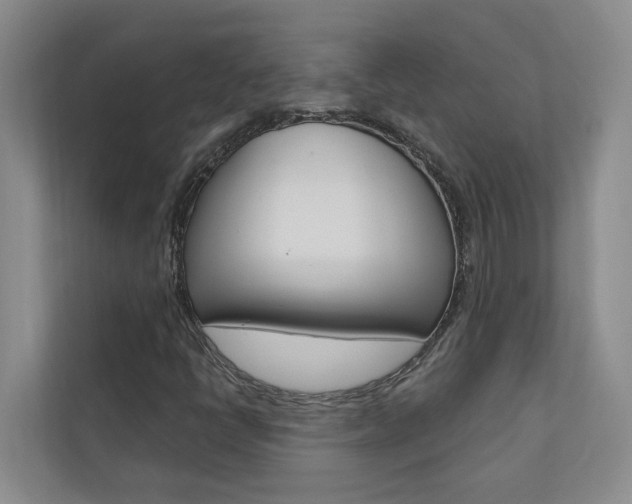 X0000110701398200906121026