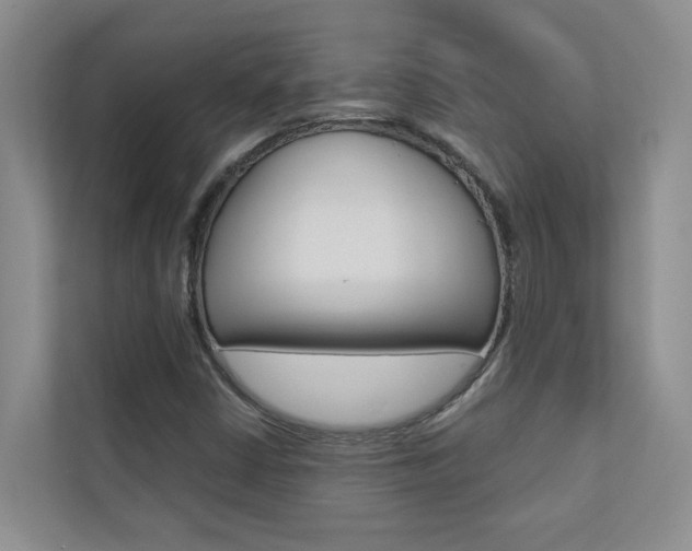 X0000110701402200906121026