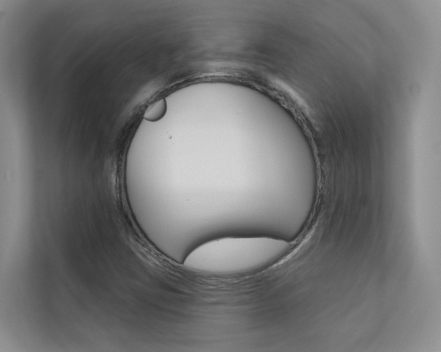 X0000110701403200906121026