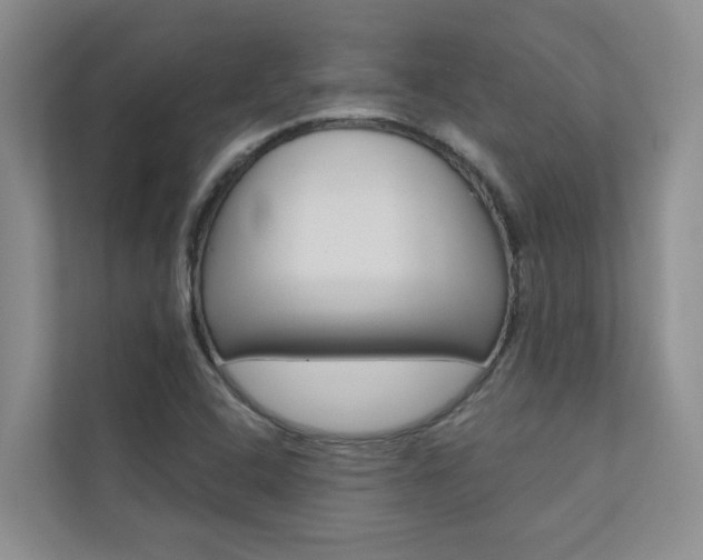 X0000110701408200906121027