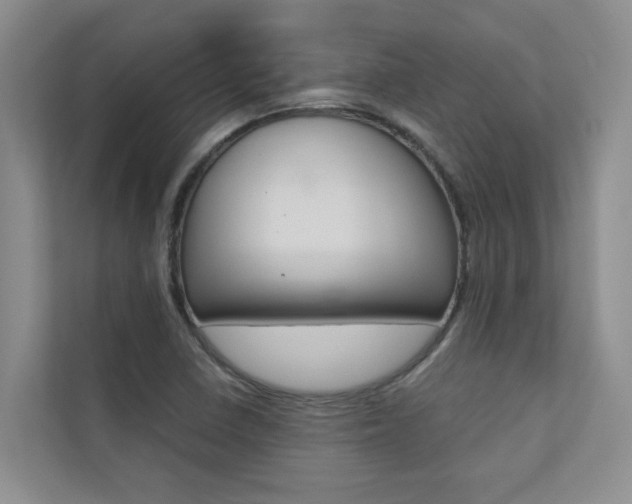 X0000110701410200906121027