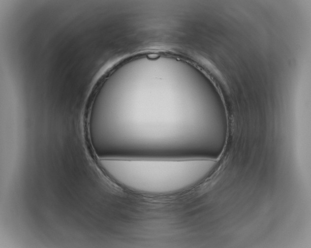 X0000110701412200906121027